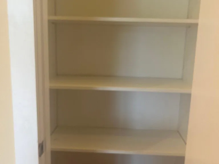 Walking Closet 1