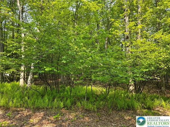 163 Piney Woods Dr, Jim Thorpe, PA 18229