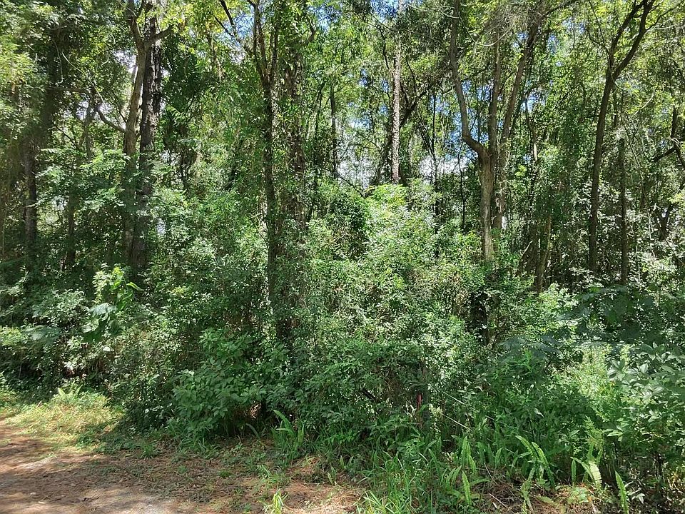 2nd image of 0 RIBAULT Terrace