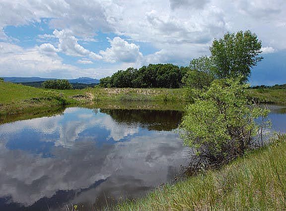 View of Pond