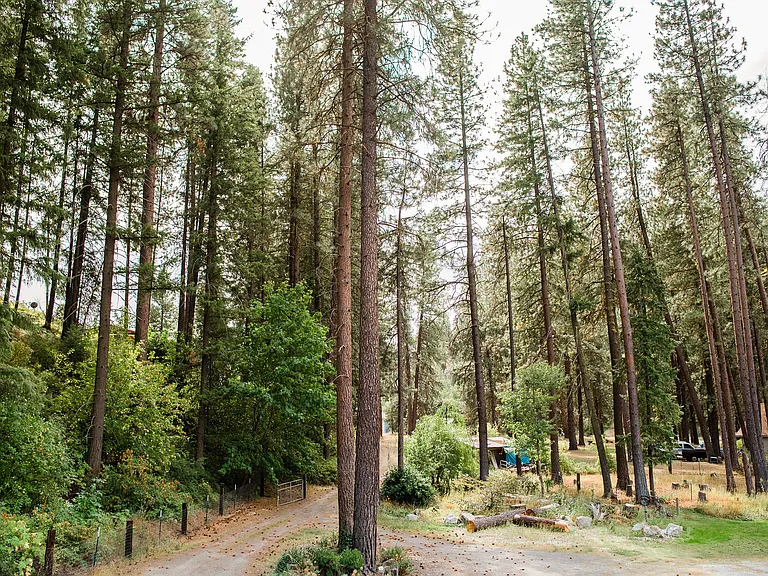 11455 Clark Canyon Rd — Photo 15