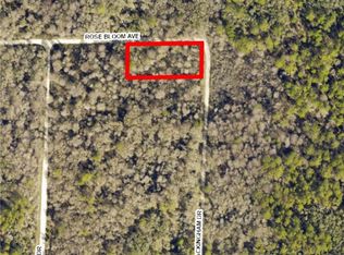 33464 Packingham Dr, Webster, FL 33597