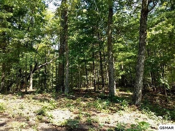 2nd image of 29 Long Rifle Rd #29W