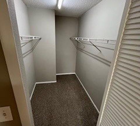 4th image of 3850 Calibre Bend Ln APT 1009