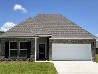 10163 Pearl Ln, Tickfaw, LA, 70466