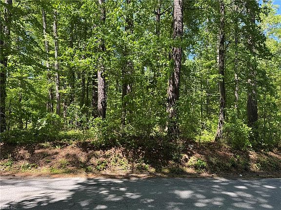 2nd image of LOT 80 Pughsville Rd