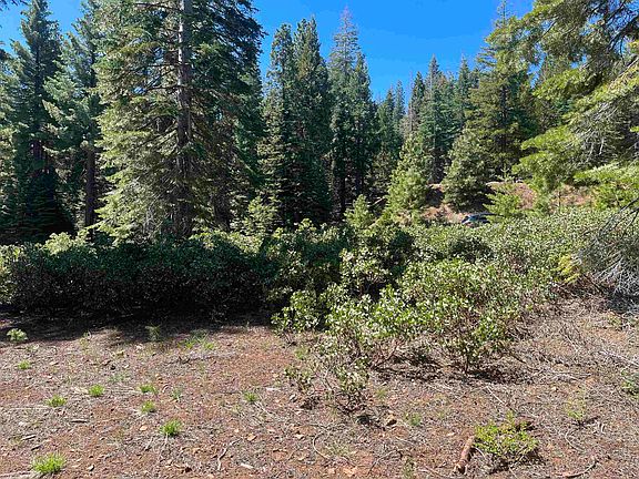 4th image of 114 Snowy Peak Way