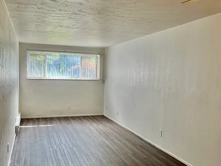 Caledonian Apartments — Photo 3