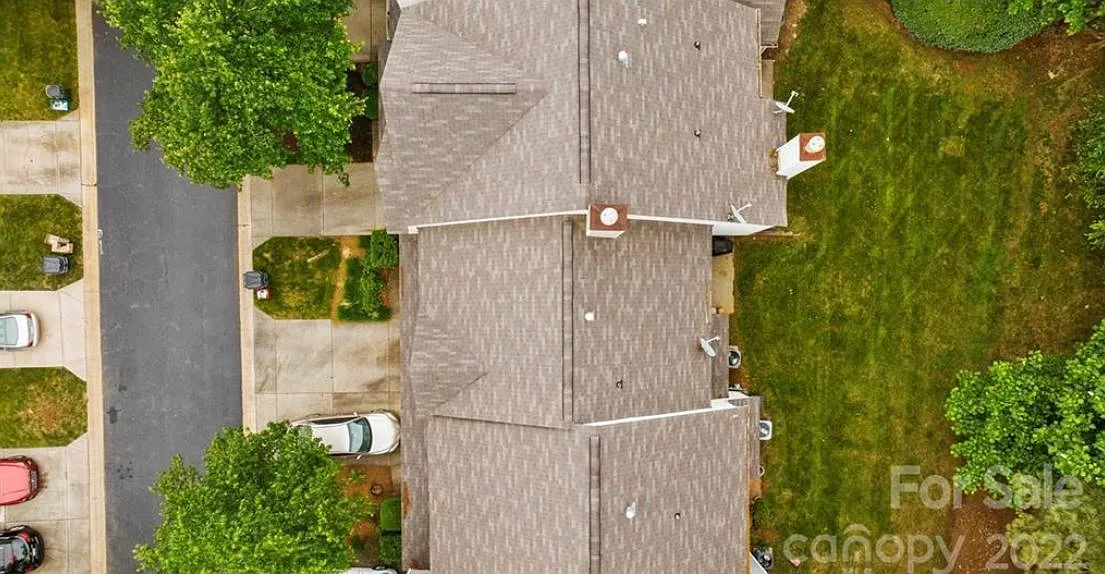 Cougar lane — Photo 2
