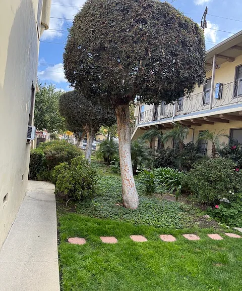 4711 Eagle Rock Blvd — Photo 2