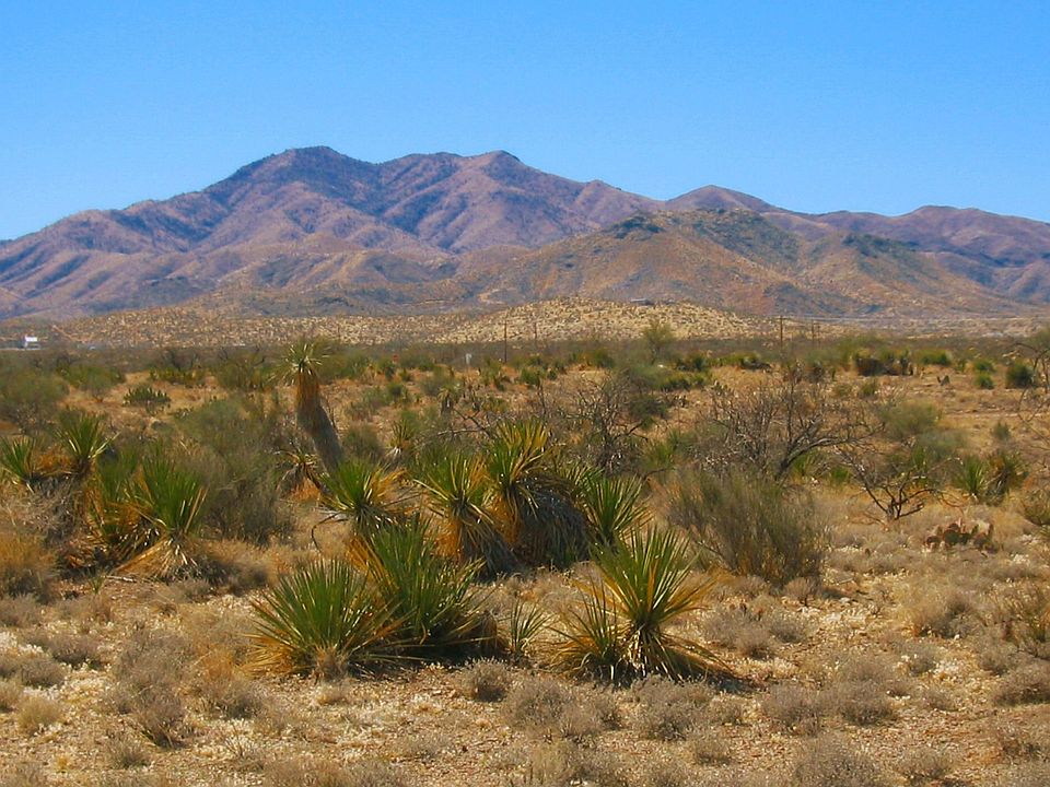 Spectacular Mountain Views