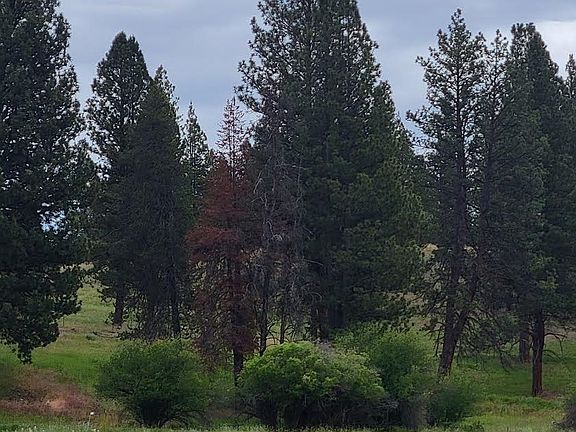5th image of 0 Coombs Loop