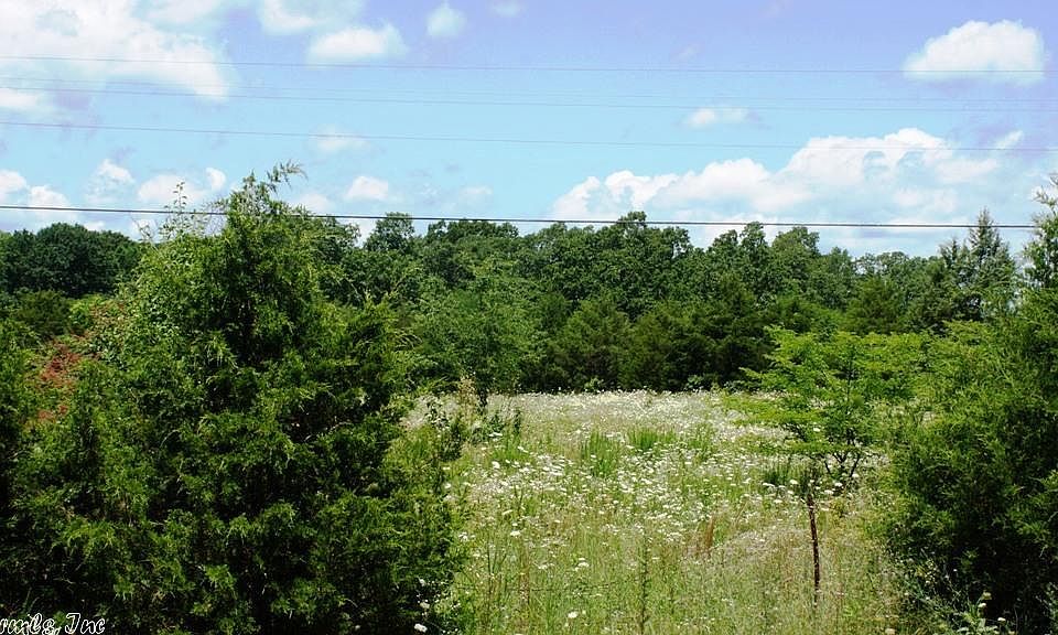 2nd image of 260 Arkansas Highway 56