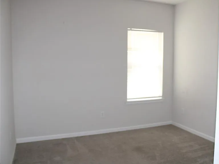 18337 Falling Pine Needle Ln — Photo 13