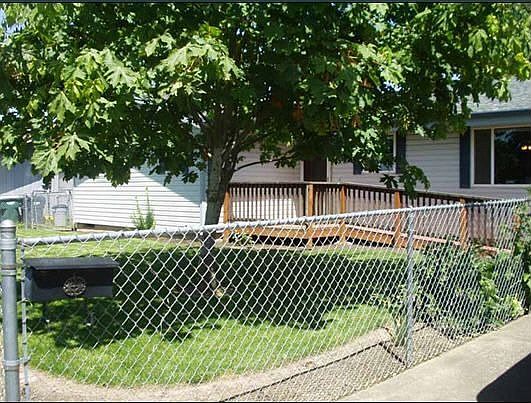 Quiet shade tree filled neighborhood