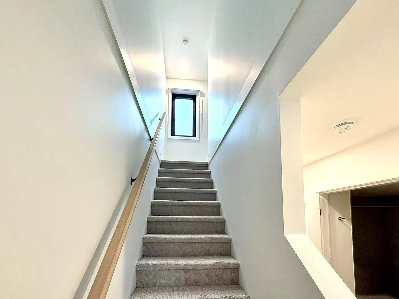 3 bed, 2.5 bath, 1492 sqft, $4,600 — Photo 2