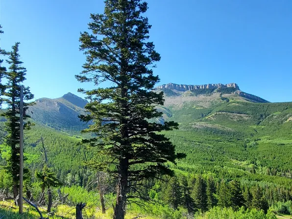 3384 Joslin Creek Rd #59410, Augusta, MT 59410