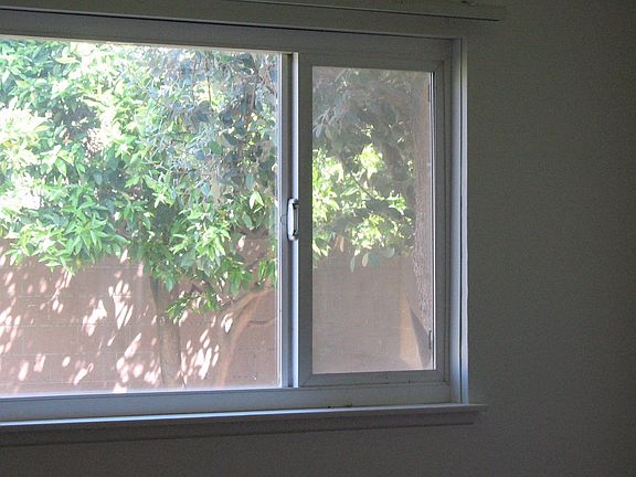 New Vinyl Windows Throughout