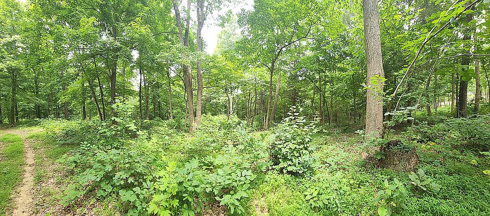 2nd image of Maple Leaf Lake Ln Lot 13