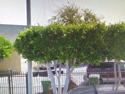 10330 Weigand Ave, Los Angeles, CA, 90002
