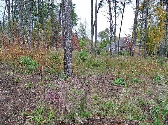 2nd image of 309 Hidden Creek Cir
