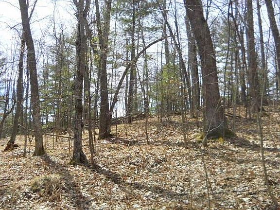 5th image of 0 Tanager Trail