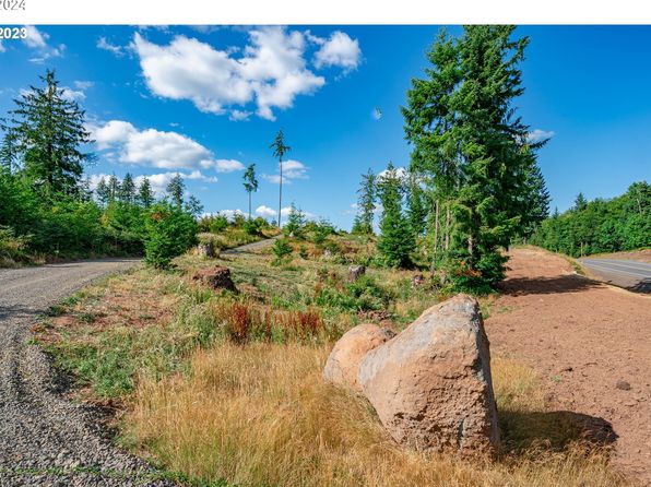 0 S Silver Lake Rd #7, Castle Rock, WA 98611
