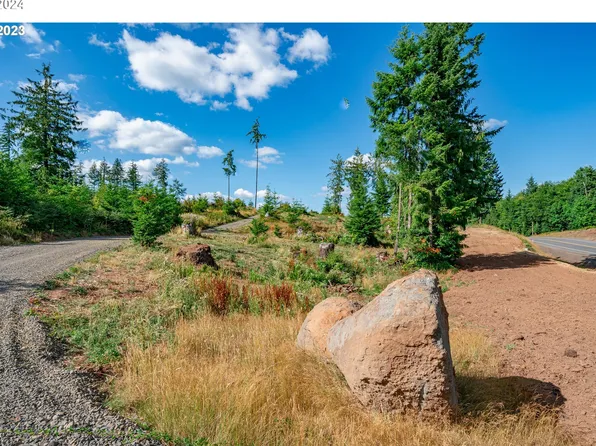 0 S Silver Lake Rd #7, Castle Rock, WA 98611