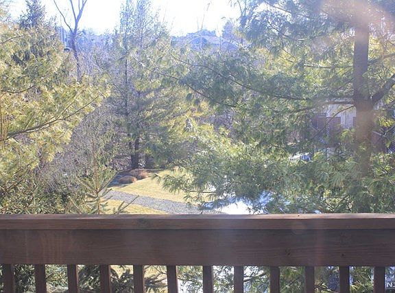 4th image of 834 Roanoke Ct