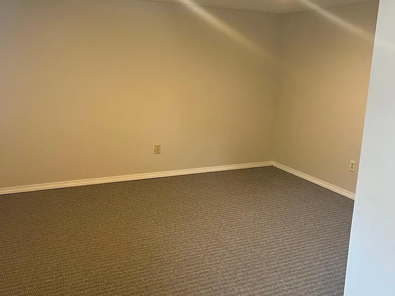 Lower level bedroom/family room