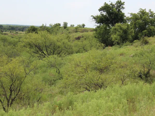 Tbd Hopewell Rd, Bellevue, TX 76228