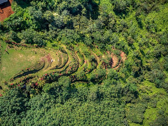 2nd image of Halaulani Pl
