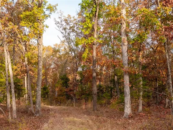 5785 Evergreen Loop, Leslie, MO 63056