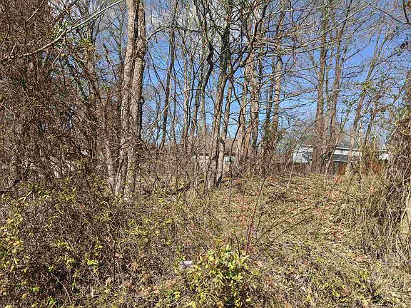 4th image of 9029 Marfield Ct