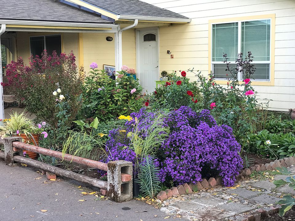Front door, covered breezewa