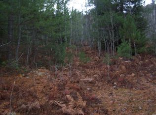 Stoney Crk, Afton, MI 49705