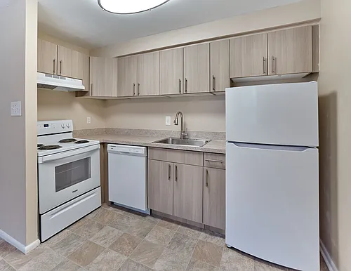 Maple Terrace Photo 1