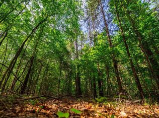 0 Watt Rogers Rd TRACT 2, Pelzer, SC 29669