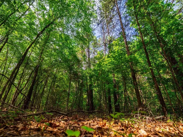 0 Watt Rogers Rd Tract 2, Pelzer, SC 29669
