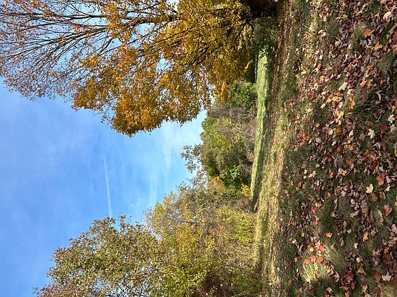 4th image of 1250 Township Road 208