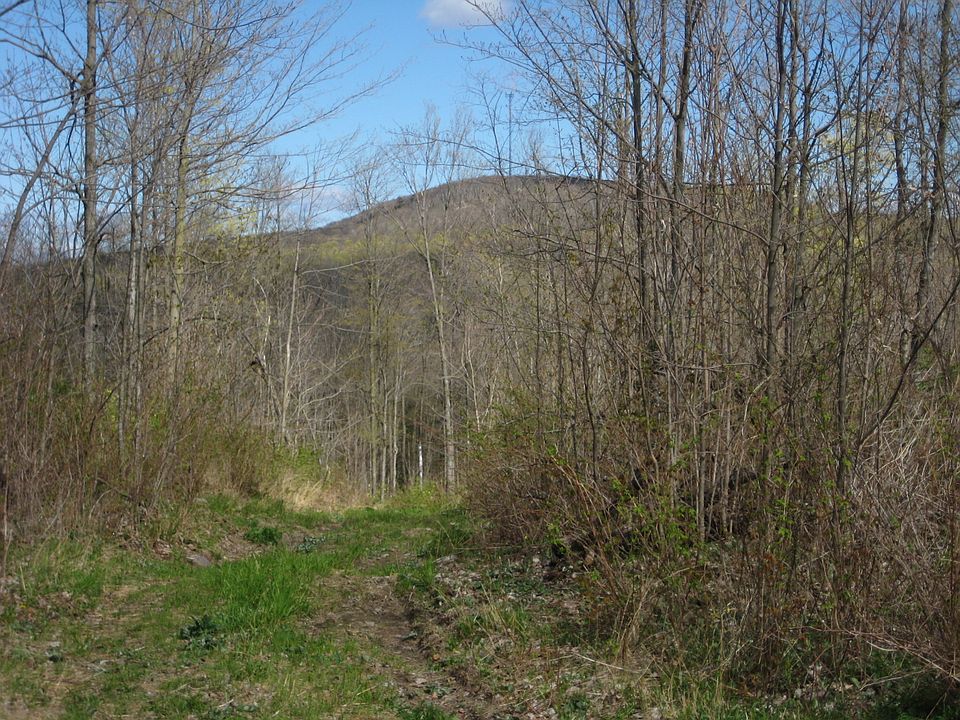 VIEW OF RIB MOUNTAIN