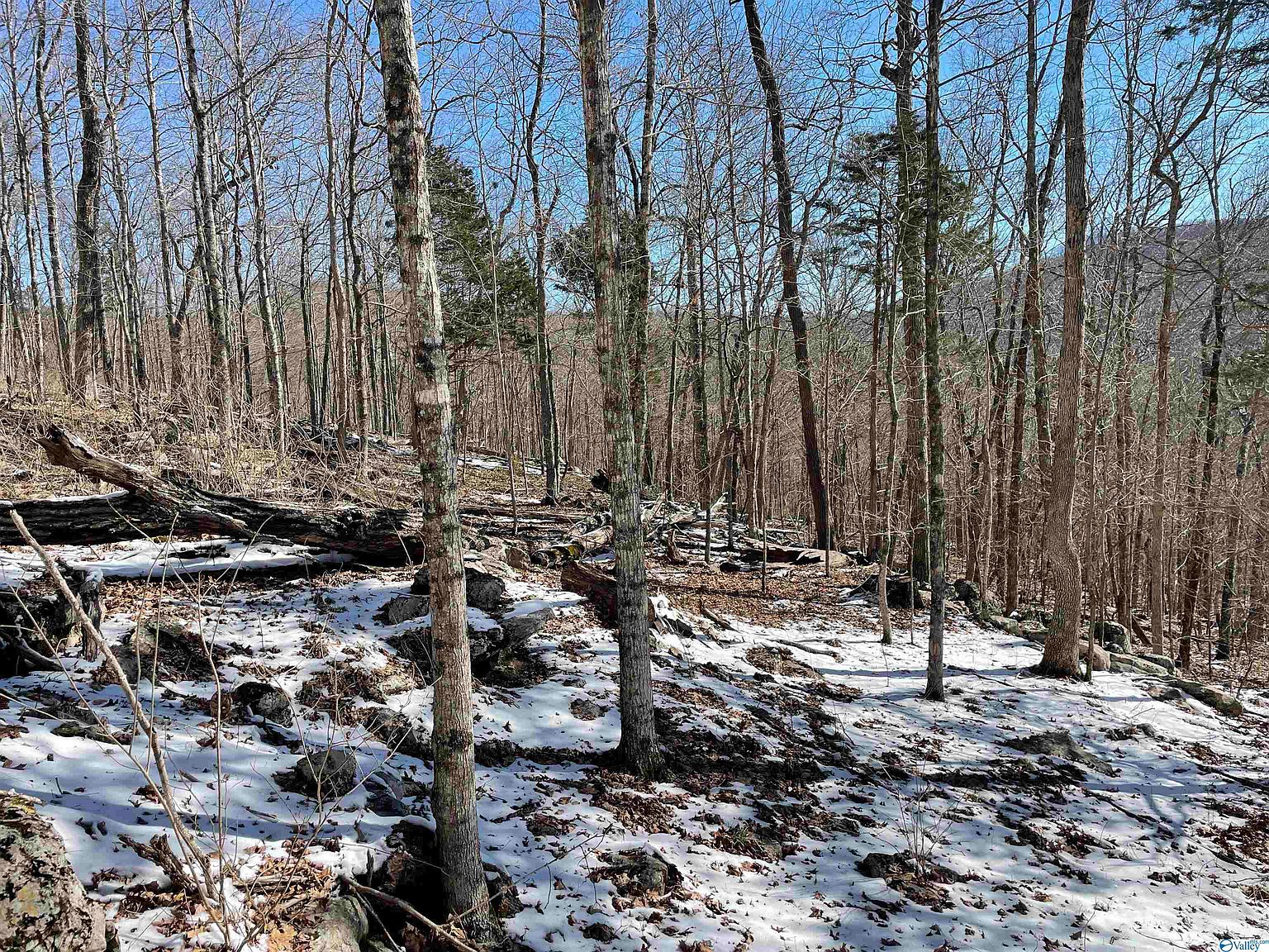 17 County Rd 65, Estillfork, AL 35745 Zillow