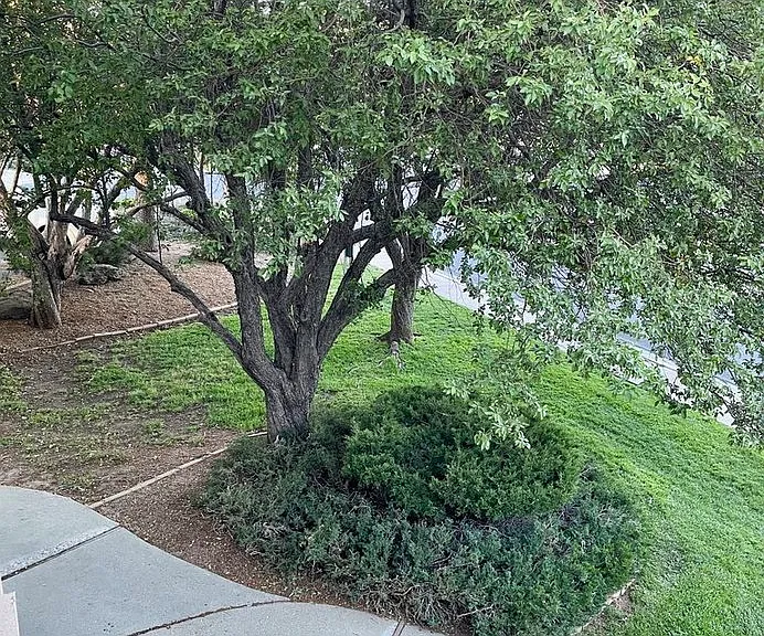 3200 S Litzler Dr #12-252 — Photo 22