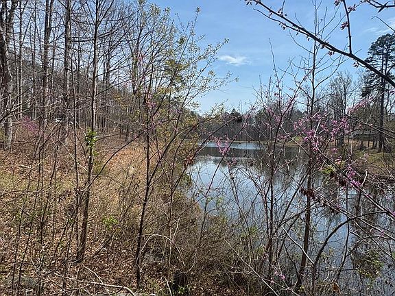5th image of L30/30a Shady Pond Rd