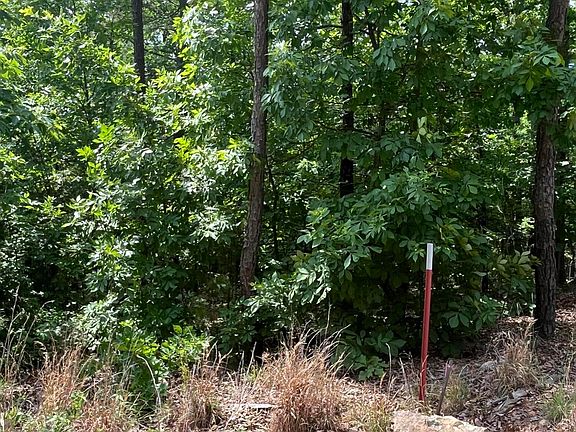 4th image of 000 County Road C-228