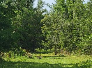 Vacant Se Parliament Trl, Lee, FL 32059
