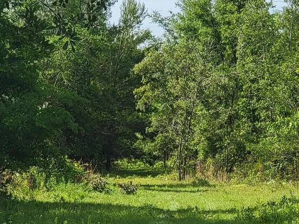Vacant Se Parliament Trl, Lee, FL 32059