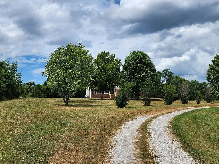 1653 Bear Creek Pike — Photo 5