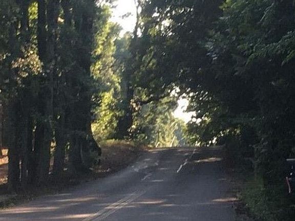 4th image of 2512 Walker Rd SE