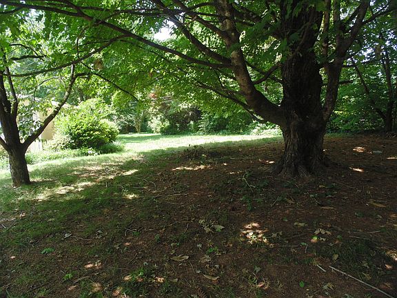 4th image of 9252 Sunny Shore Ln